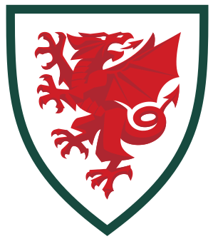 威尔士logo