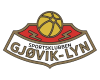 哥维克莱恩logo