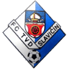 史拉维辛logo