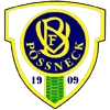 VfB伯斯內克logo