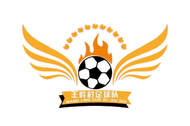王岭村足球队logo