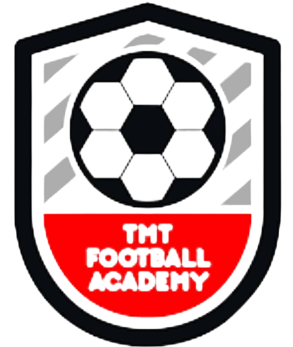 TMTlogo